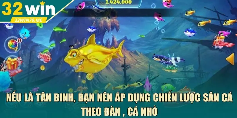  săn cá theo đàn , cá nhỏ